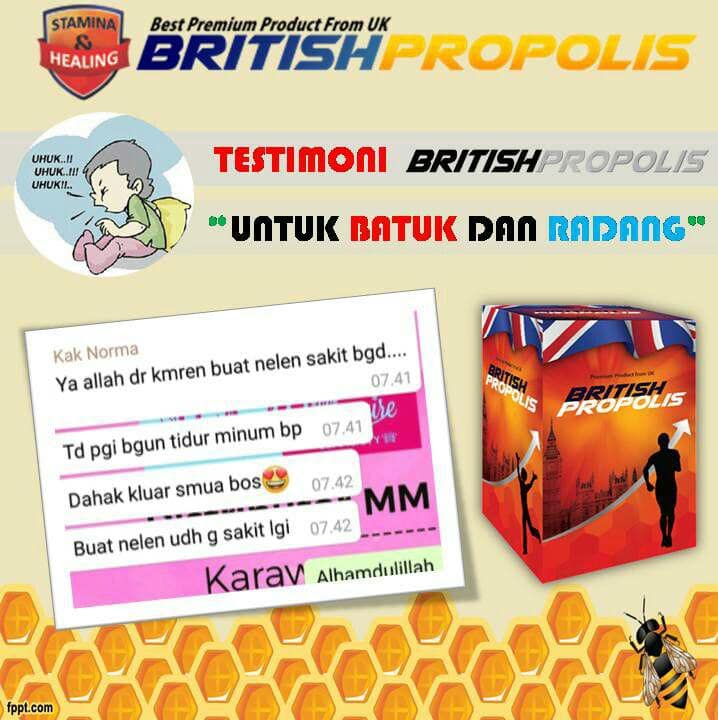 BRITISH PROPOLIS (3)