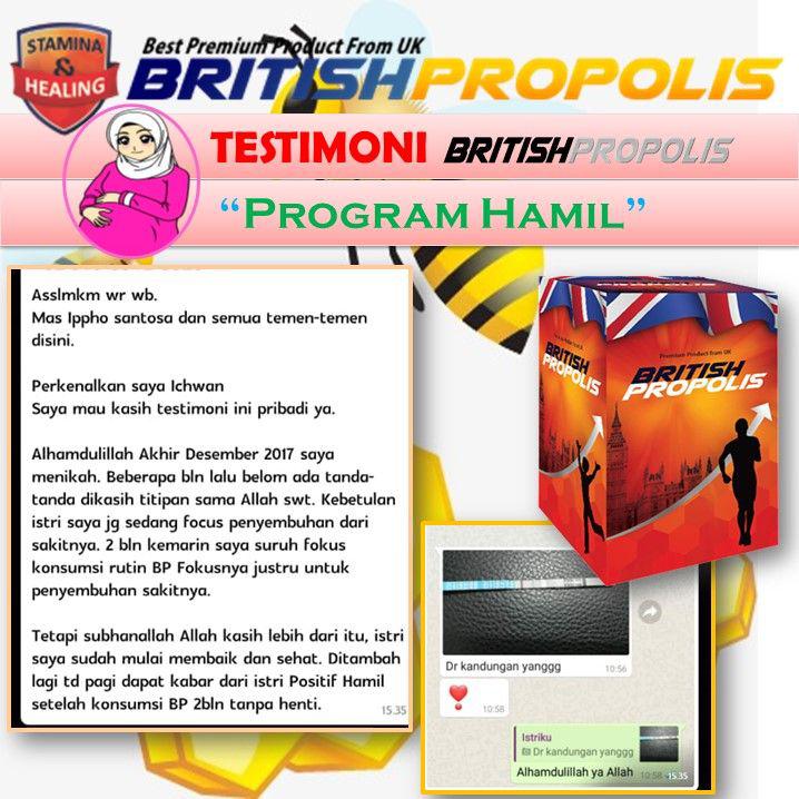 BRITISH PROPOLIS (6)