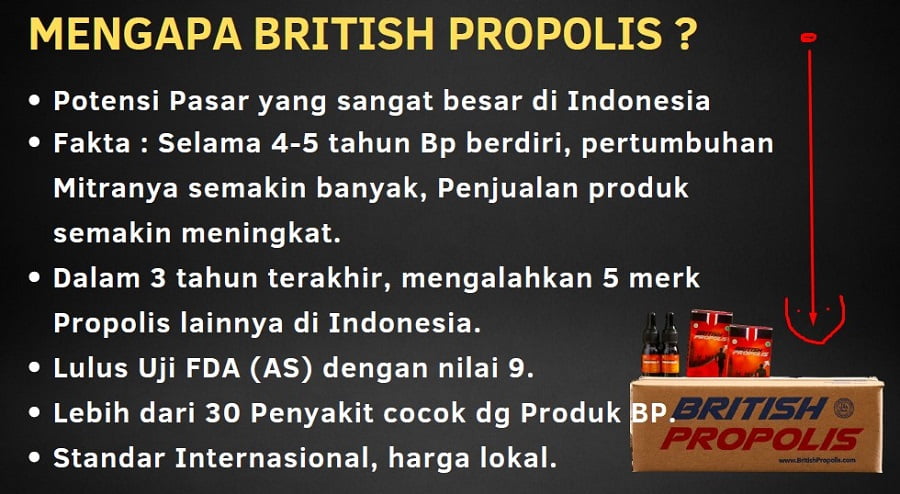 bisnis british propolis 1