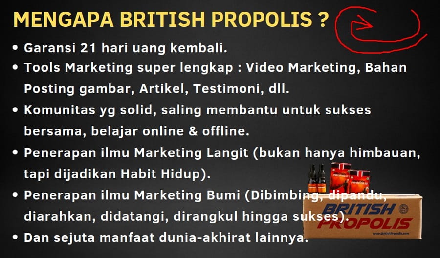 bisnis british propolis 2