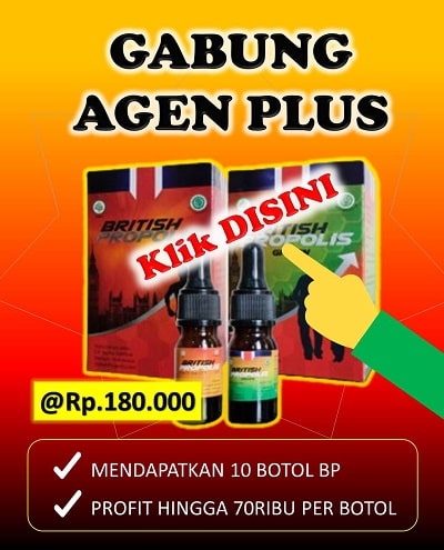 paket agen plus british propolis