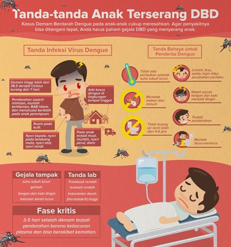 Tanda Anak terserang DBD: Obat Herbal DBD.