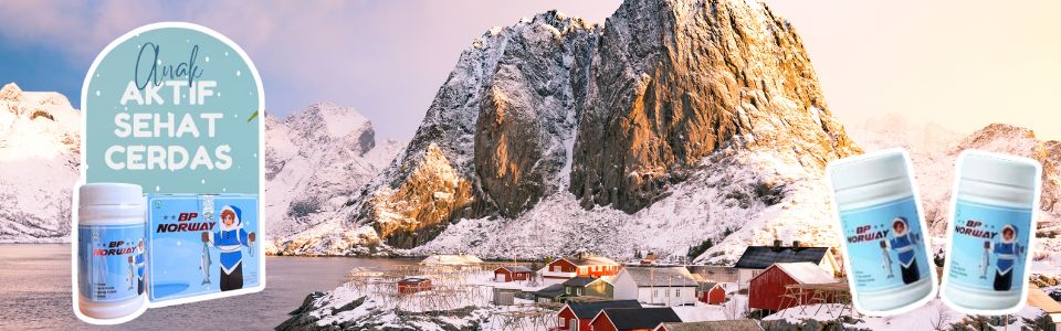 jual bp norway terdekat