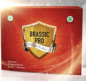 Brassic Pro: Testimoni Radang Sendi Lutut