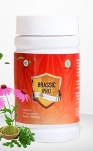 Brassic Pro: Distributor British Propolis