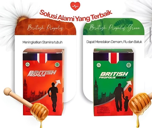 British propolis: obat Virus hMPV